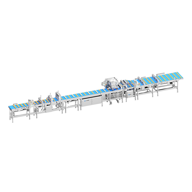 Automatic Dorayaki Production Line CB600